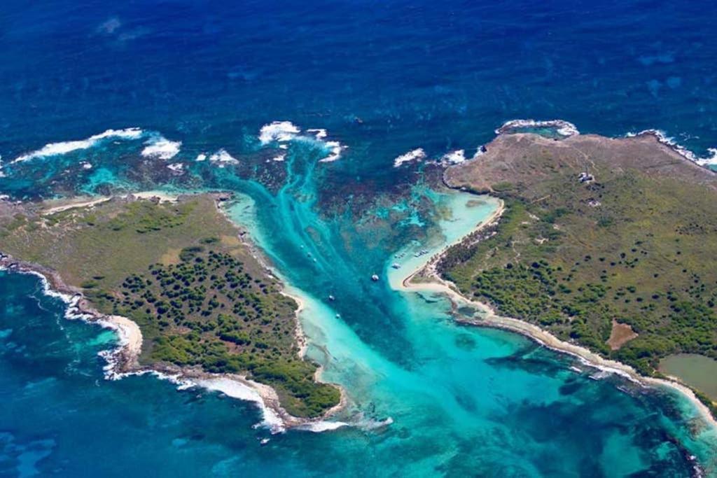 Studio Avec Grande Piscine, Plage Cannelle Caraibes Saint-Francois  Buitenkant foto